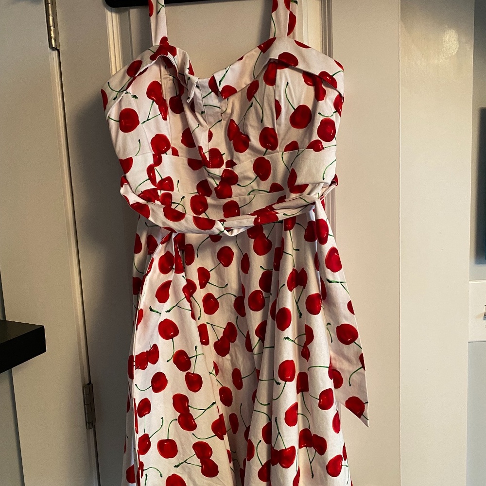 ModClothe Cherry Dress